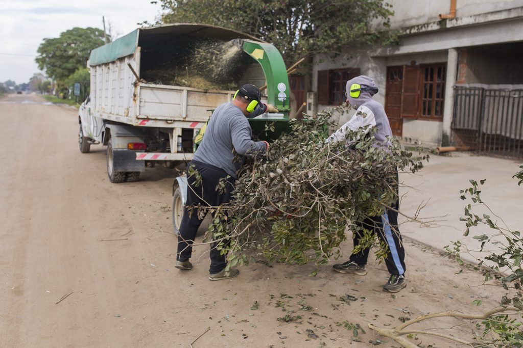 Con la chipeadora de ramas prosigue la recolección de restos de poda de árboles