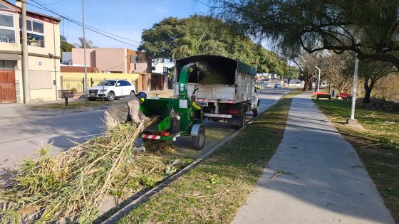 Avanza el trabajo de chipeo con maquinaria y personal municipal
