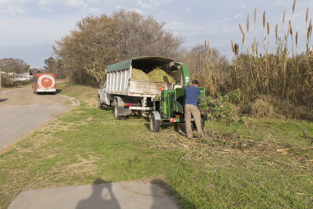 Hay tareas de mantenimiento en marcha en zona de barrancas del Puente de la Historia