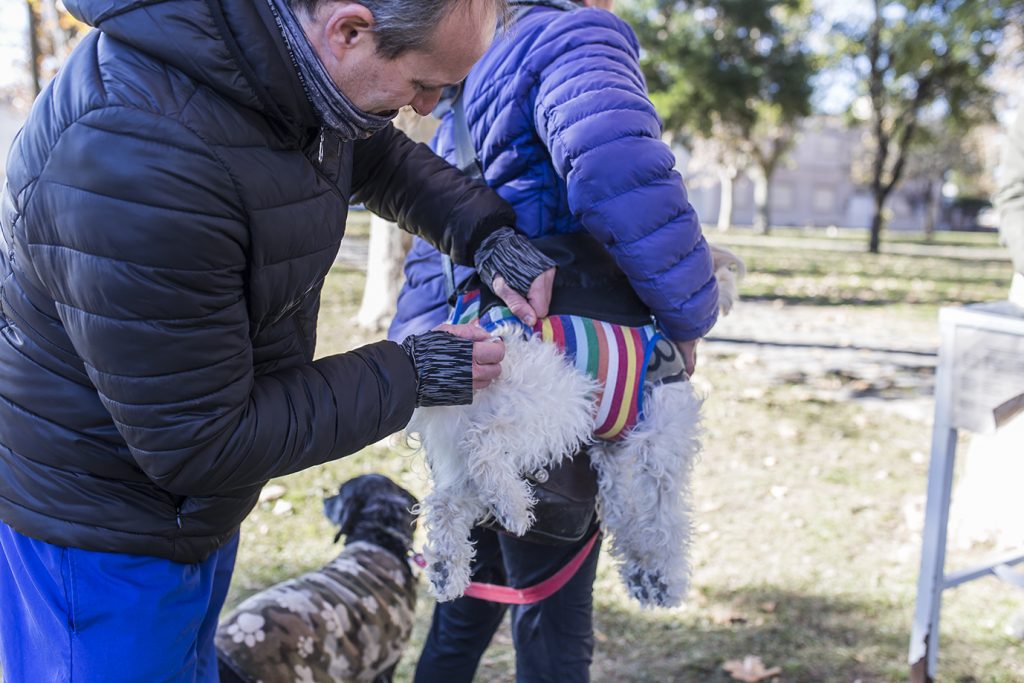 Por mal clima, la Campaña Antirrábica continuará mañana en Praderas del Sur
