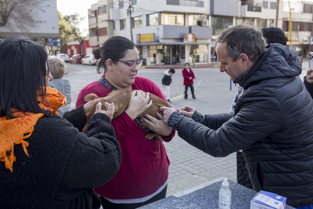 Salud Animal llamó a acercarse a los puestos de vacunación contra la rabia