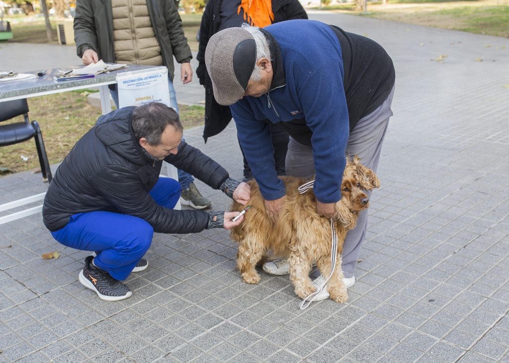 Comienza la tercera ronda de vacunación antirrábica para perros y gatos