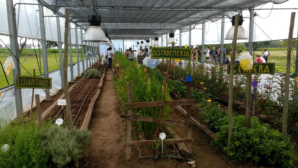 Los alumnos de Bell Ville Florece tomarán la última clase práctica de la cursada en el campo escuela de la UNC