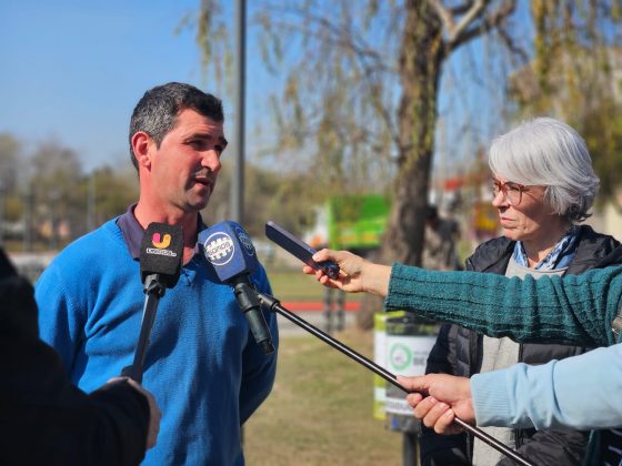 Se están haciendo podas correctivas en el arbolado público urbano