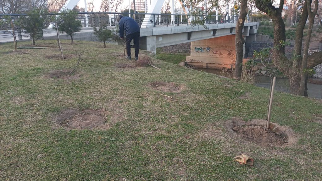 Tristemente, continúan los destrozaron en espacios públicos