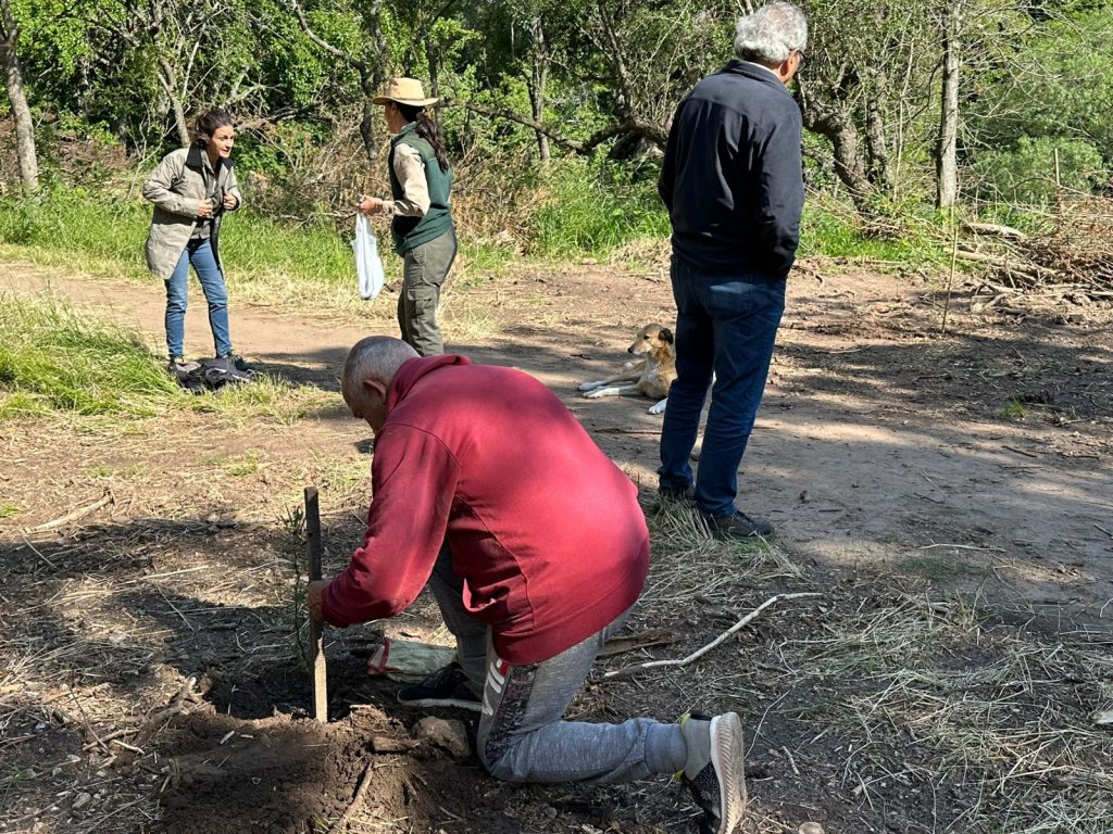 Plan de manejo para control de especies exóticas: Reforestación en La Rinconada