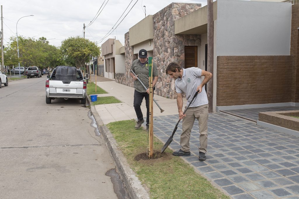Sigue la plantación de árboles en distintos puntos de la ciudad