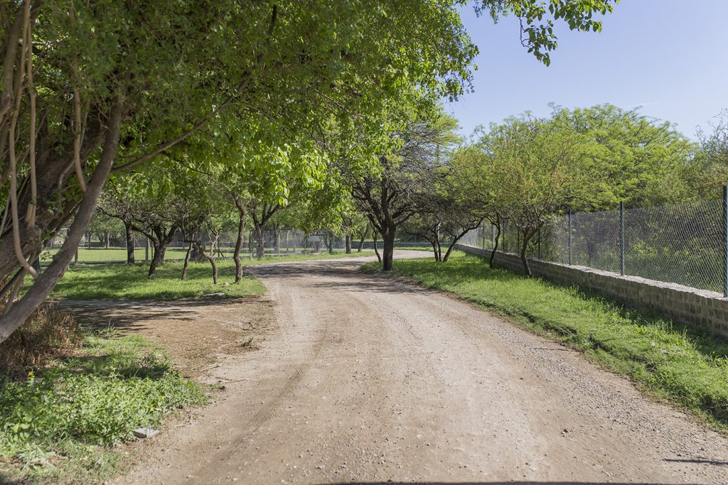 El municipio consolidará la calle Tucumán entre Teniente Bono y Contador Aquino