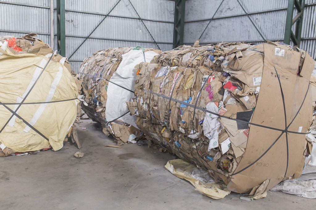 Reciclar funciona: en lo que va del año se duplicó la venta de cartón