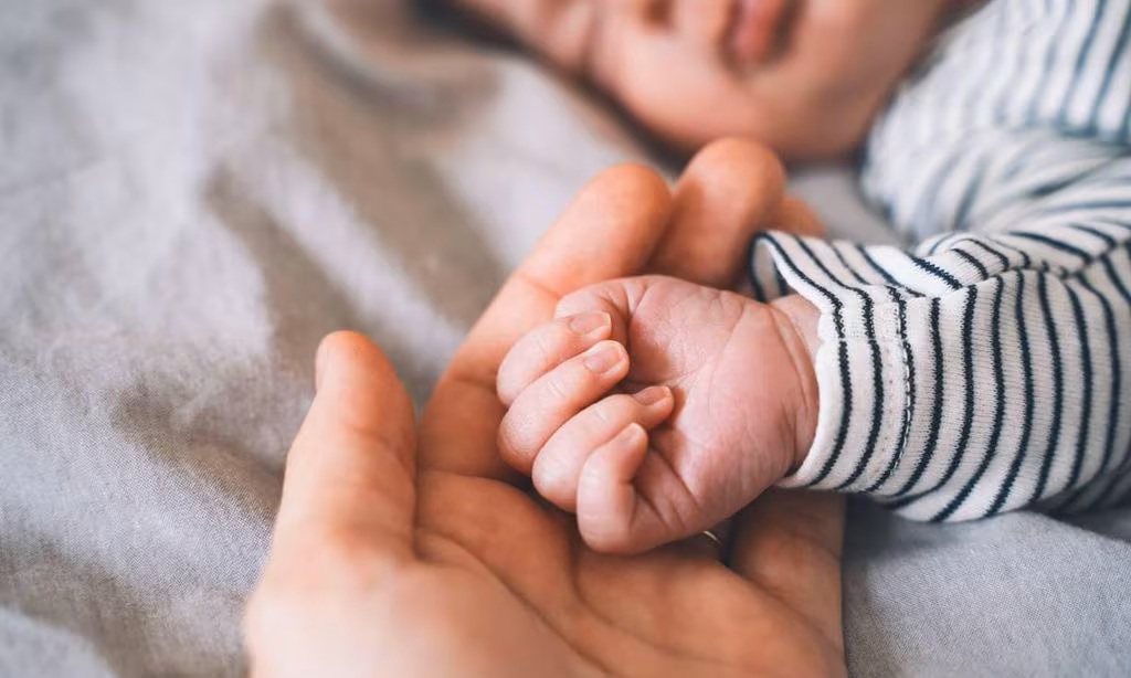 Se inscribieron 333 niños en Bell Ville durante 2025