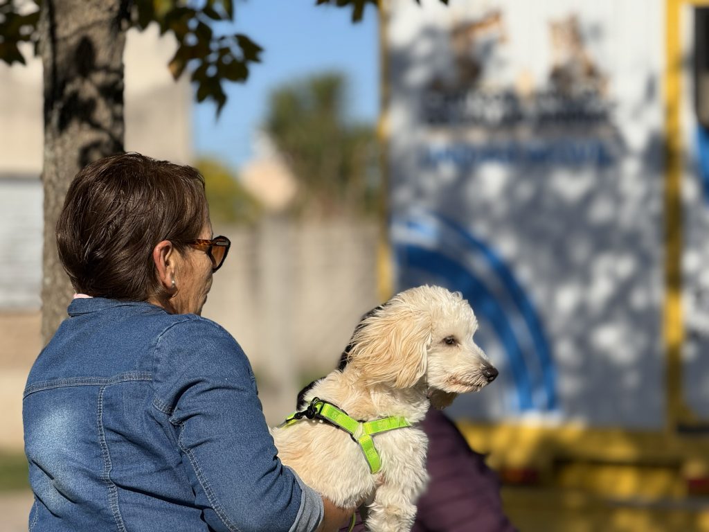 Hay turnos disponibles en el área de Salud Animal: ¡aprovechalos y castrá a tu mascota!