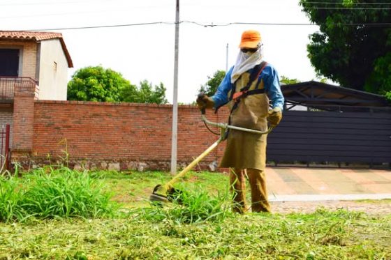 Baldíos limpios: hasta el 31 se pueden pedir reducciones de tasas