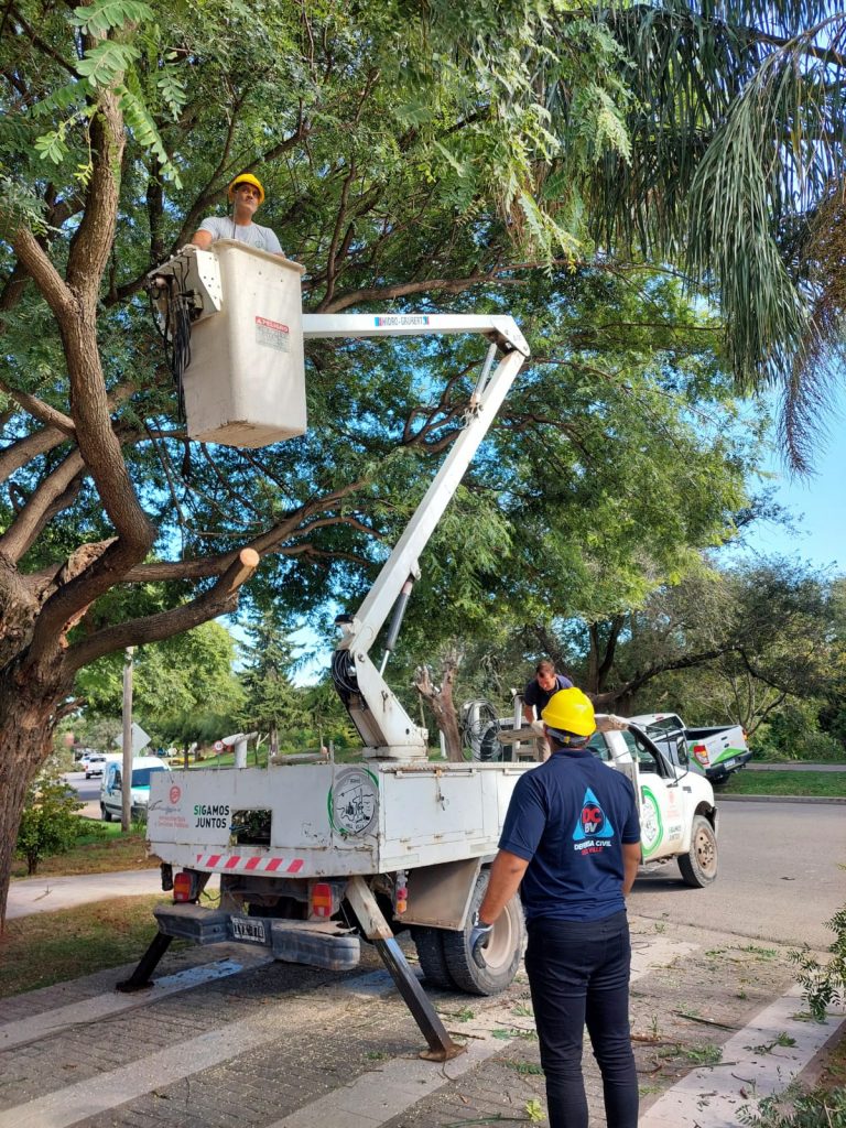 Personal municipal realizó una poda preventiva en la zona del Puente de la Historia