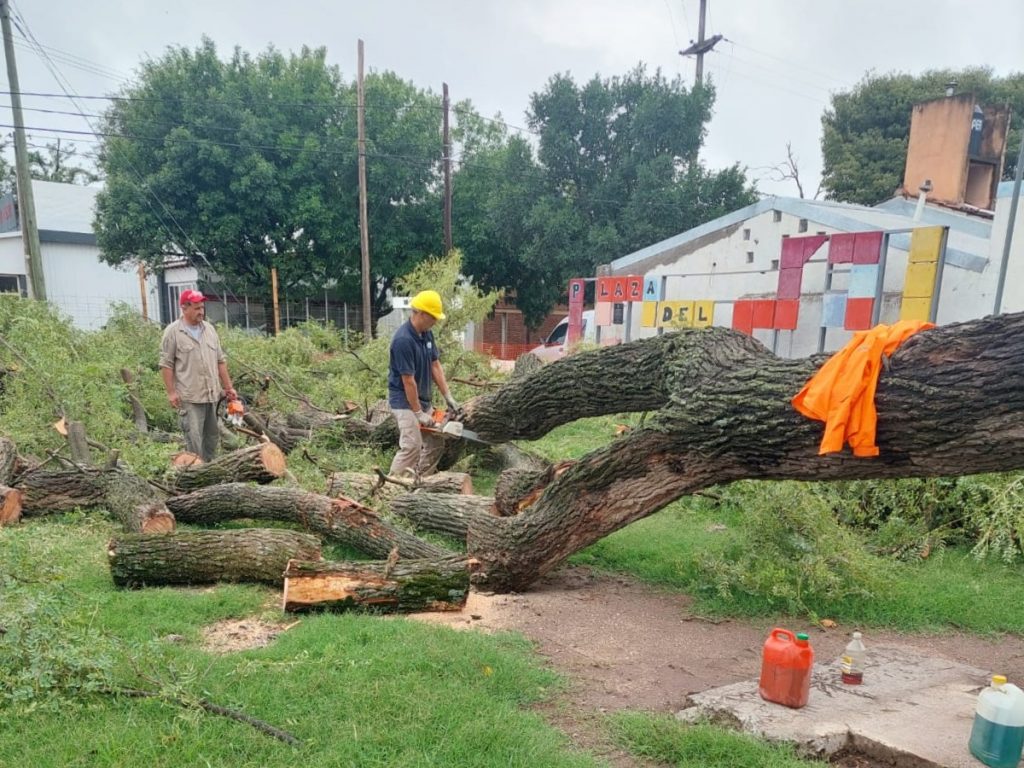 Personal municipal sigue trabajando para remediar los daños que causó el último temporal