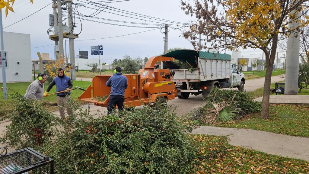 Personal municipal está recolectando poda y reduciendo los restos con la chipeadora