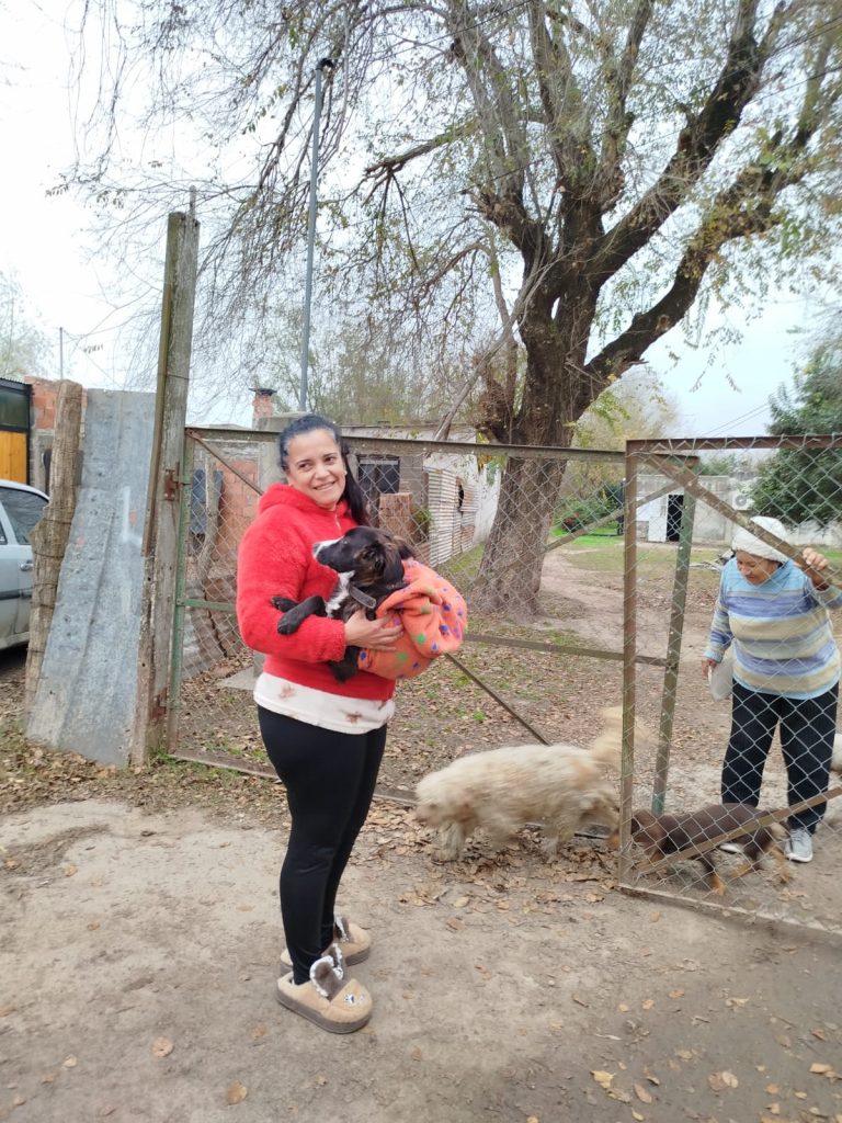 Salud Animal castró mascotas en el Villa Carlitos y alrededores y el operativo sigue