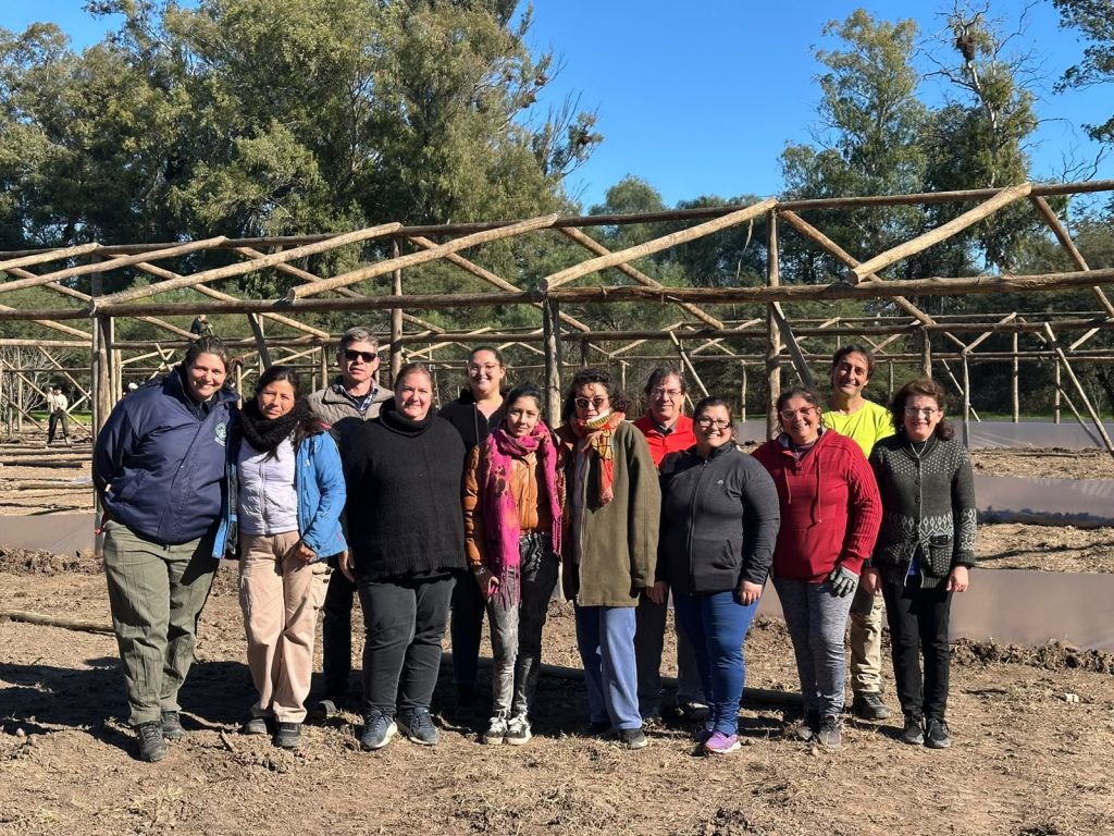 Bell Ville Florece levanta sus primeros invernaderos
