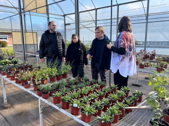 Bell Ville fortaleció su proyecto de producción florícola con una visita técnica al Instituto de Floricultura del INTA