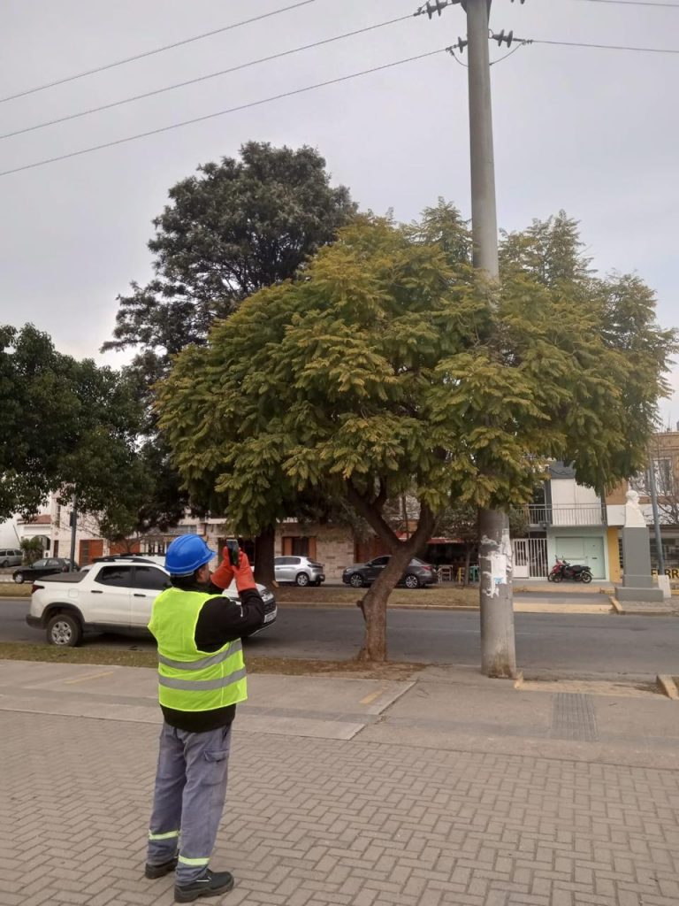 Atención vecinos: una fundación que trabaja con la Epec relevará la ciudad la próxima semana
