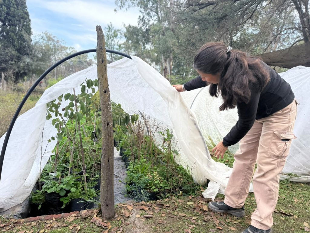 El Vivero Municipal actualizó el catálogo de las  especies que tiene a la venta