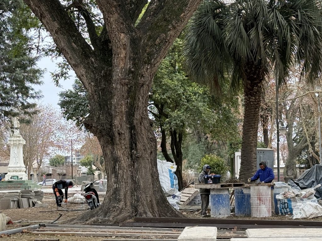 Instalan nuevos postes de luminarias en la plaza Rubén Márquez