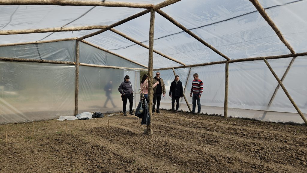 Avanza la construcción del quinto invernadero del programa Bell Ville Florece