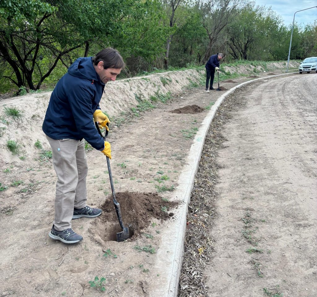 Bell Ville verde: gracias a acciones conjuntas, la ciudad sumó más de 600 árboles
