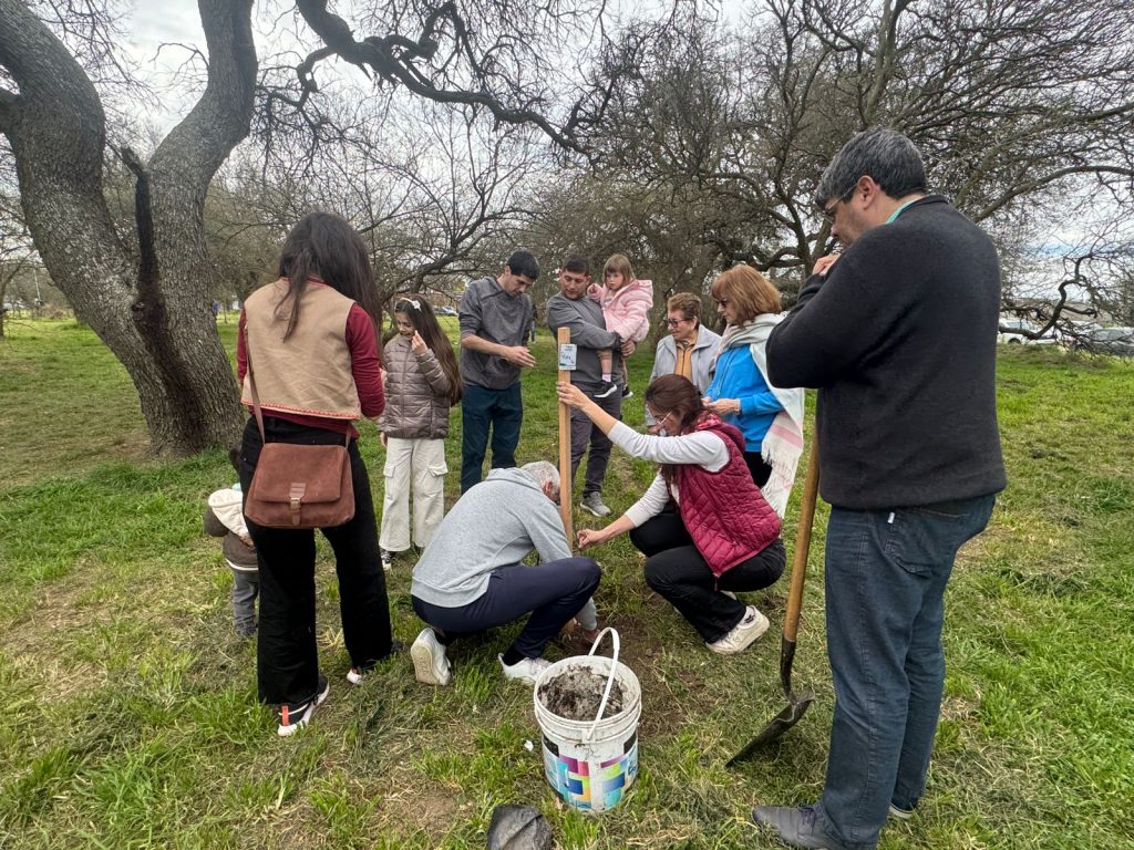 El sábado habrá otra jornada de reforestación en honor a los nuevos bellvillenses