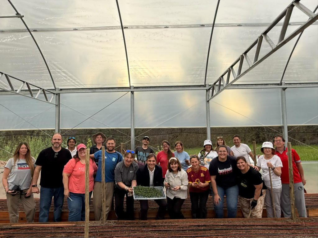 Bell Ville Florece realizó la primera plantación de flores de corte